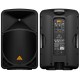 SPK BEHRINGER B 115 MP3